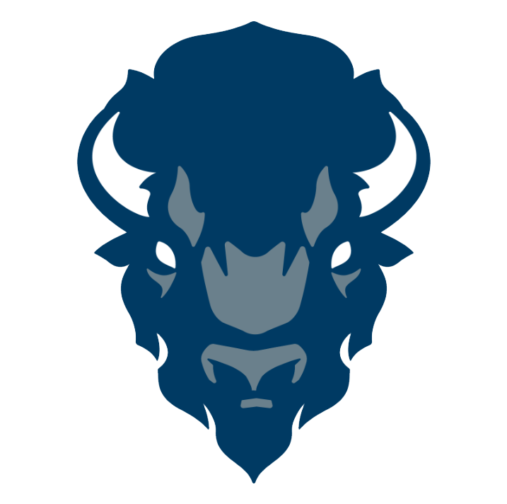 Bison Casino Logo